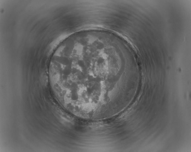 X0000070361363200606231612