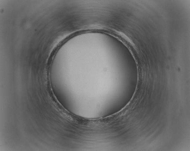 X0000070361364200606231612