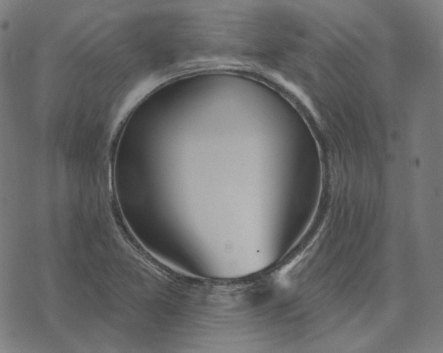 X0000070361365200606231612