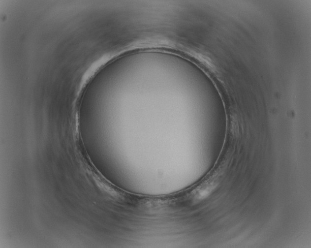 X0000070361366200606231612