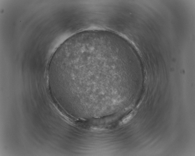 X0000070361367200606231612