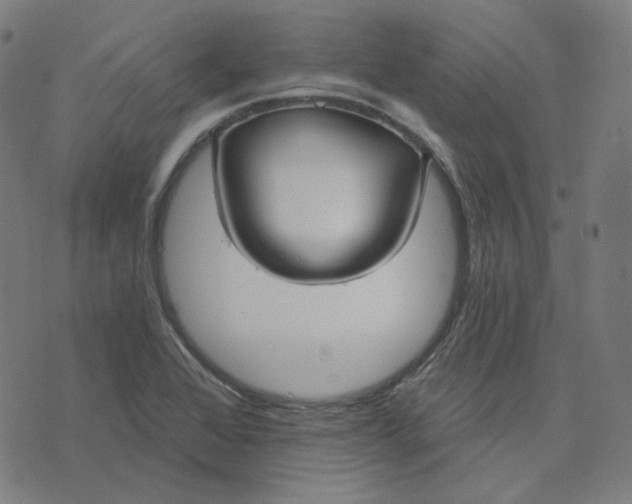 X0000070361368200606231612