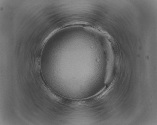 X0000070361369200606231612