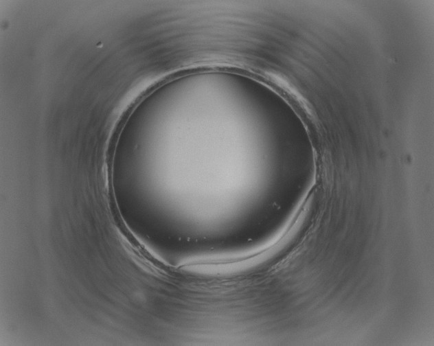 X0000070361372200606231611