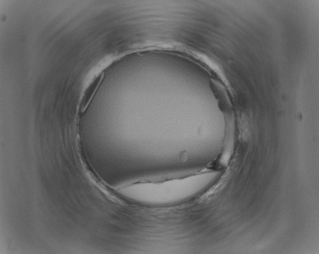 X0000070361373200606231611