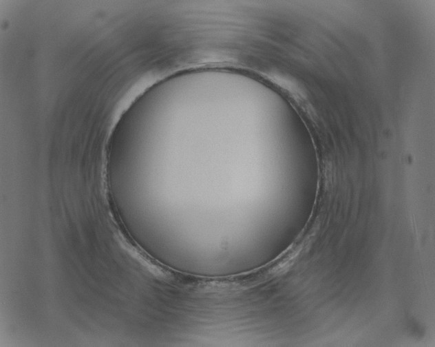 X0000070361374200606231611