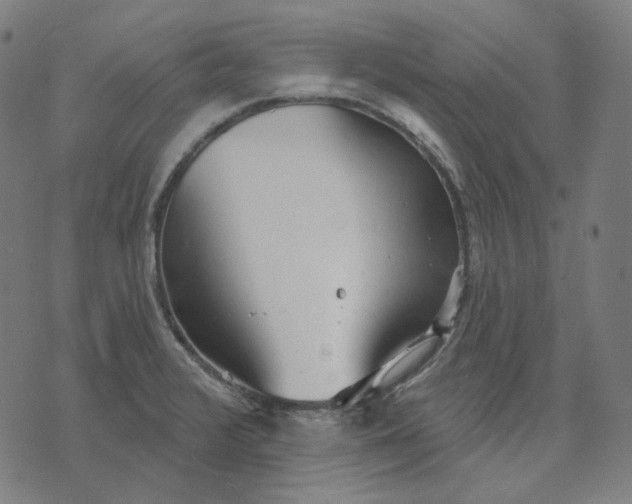 X0000070361376200606231611