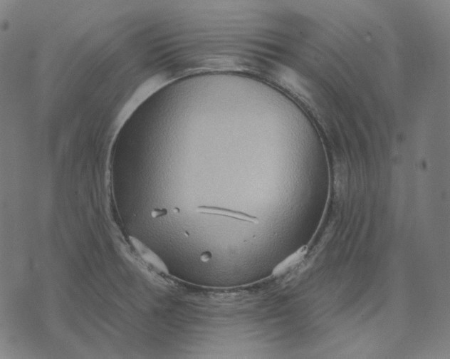 X0000070361378200606231611