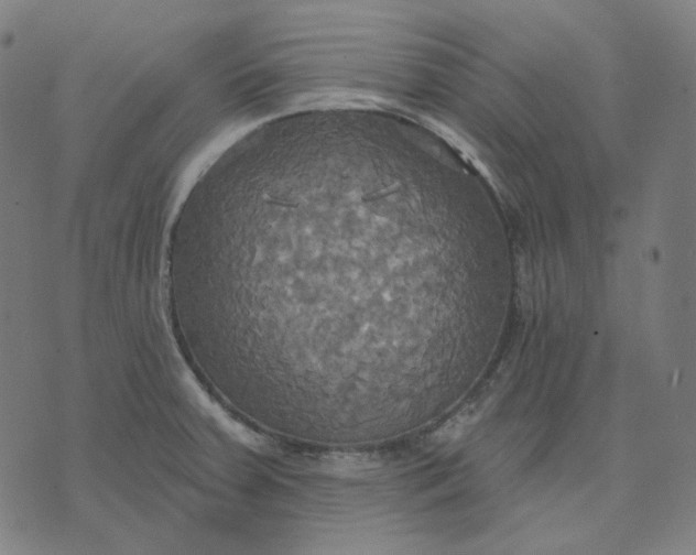 X0000070361379200606231611