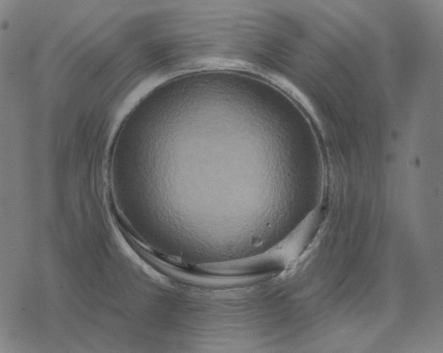 X0000070361381200606231611