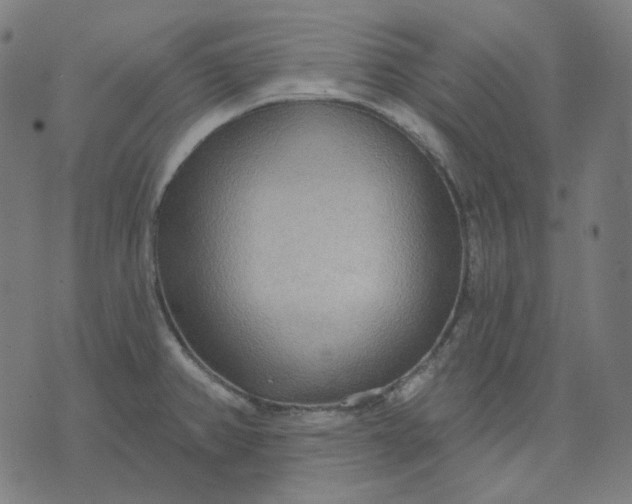 X0000070361382200606231611