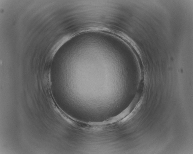 X0000070361385200606231611