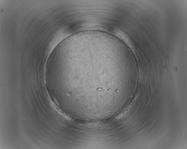 X0000070361386200606231611