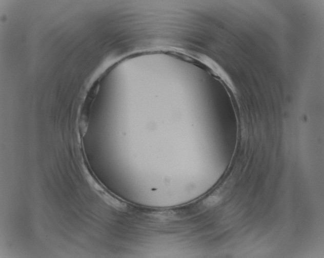 X0000070361388200606231611