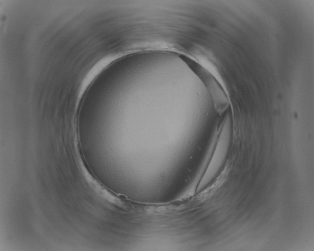 X0000070361389200606231611