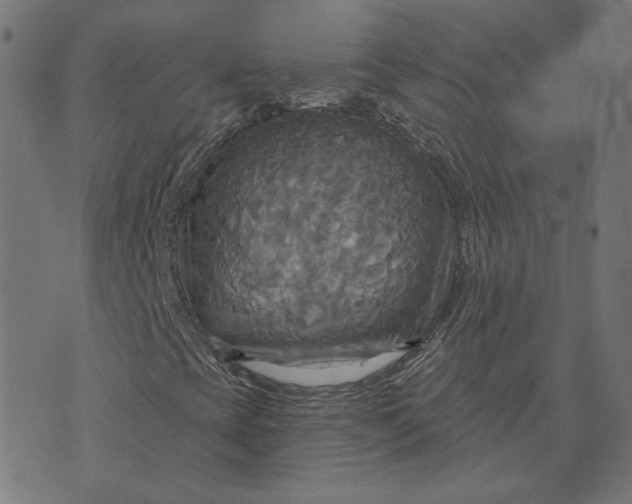 X0000070361393200606231610