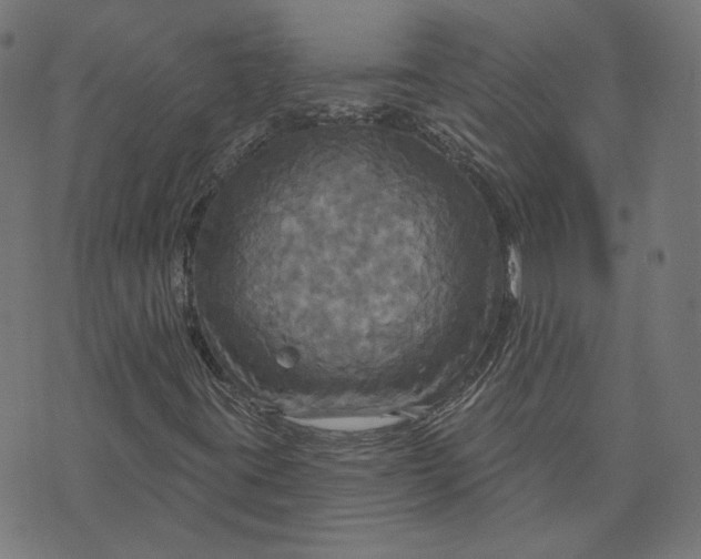 X0000070361395200606231610