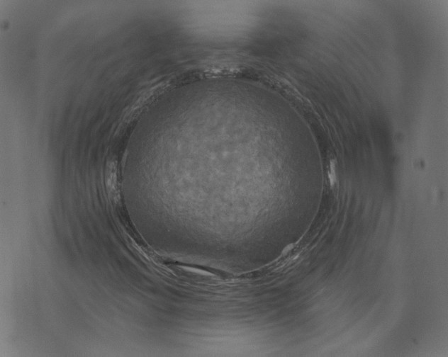 X0000070361396200606231610