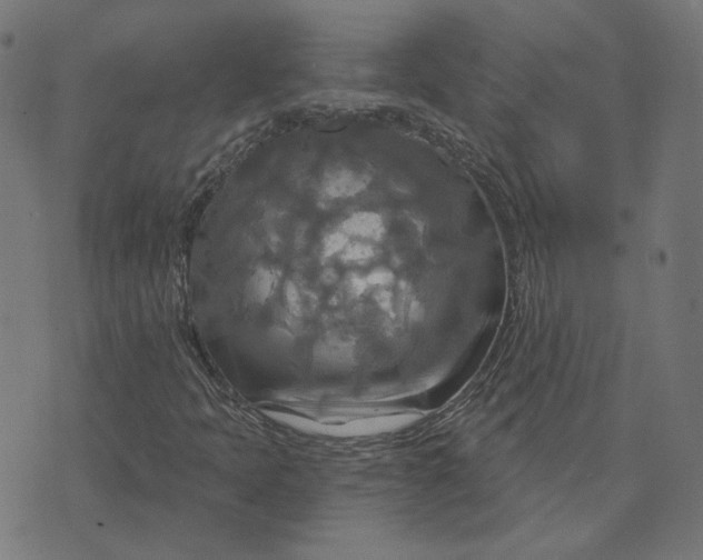 X0000070361397200606231610