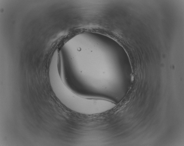 X0000070361398200606231610