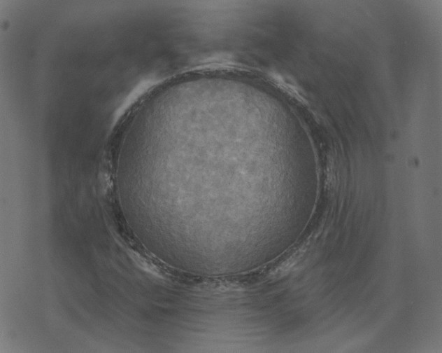 X0000070361400200606231611