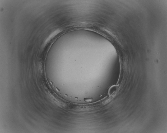 X0000070361402200606231611