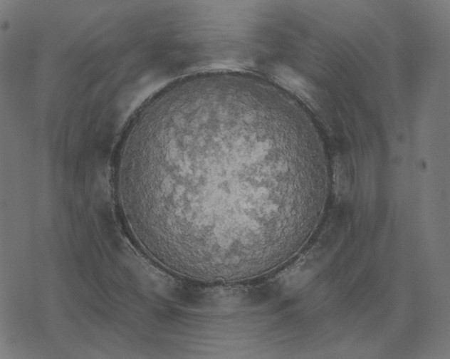 X0000070361404200606231611