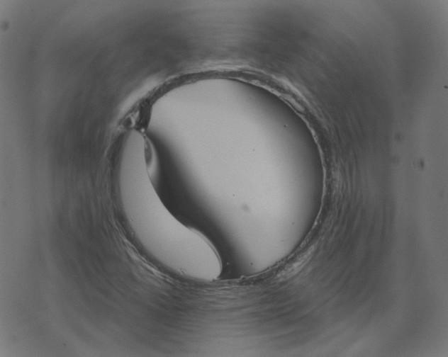 X0000070361406200606231611