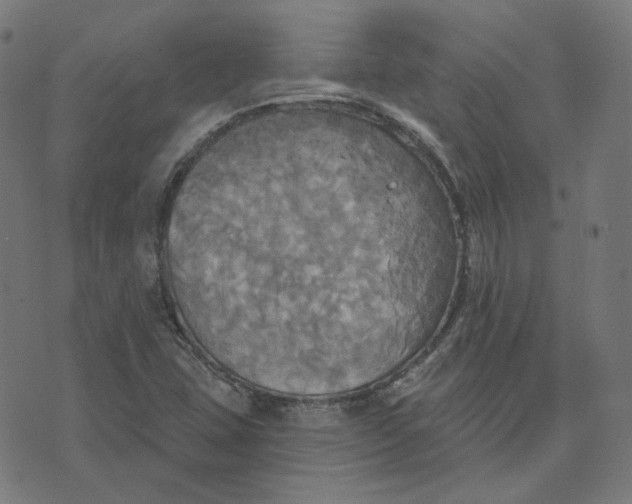 X0000070361407200606231611