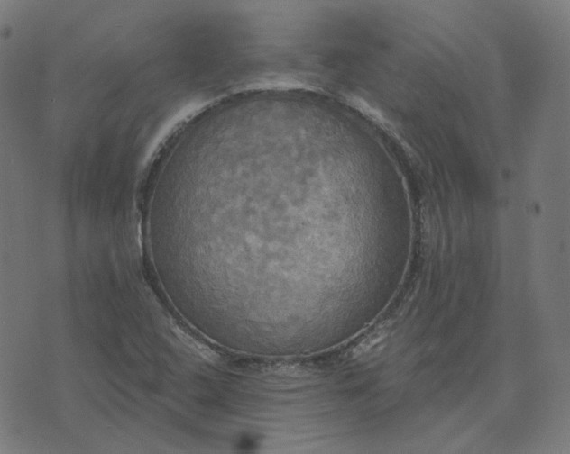 X0000070361408200606231611