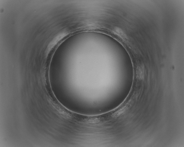 X0000070361410200606231611