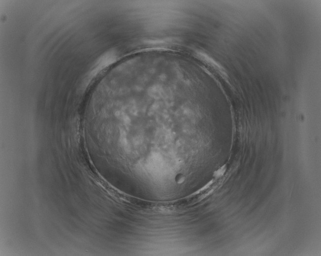 X0000070361411200606231611