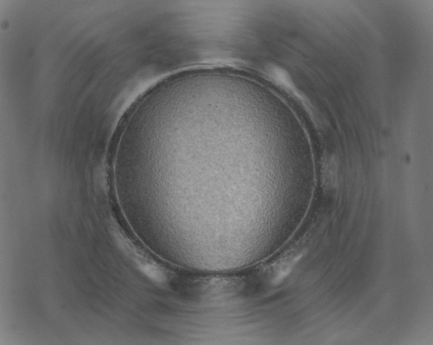 X0000070361412200606231611