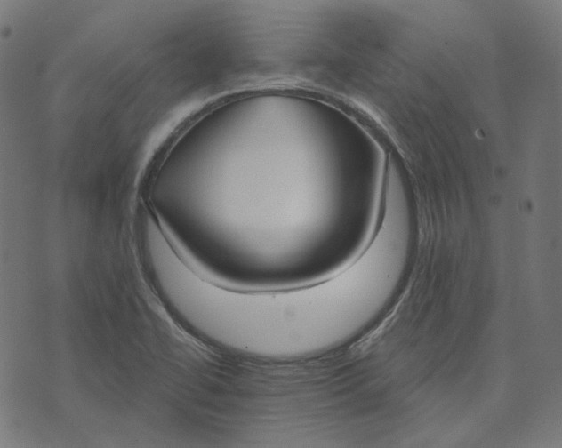 X0000070361414200606231611