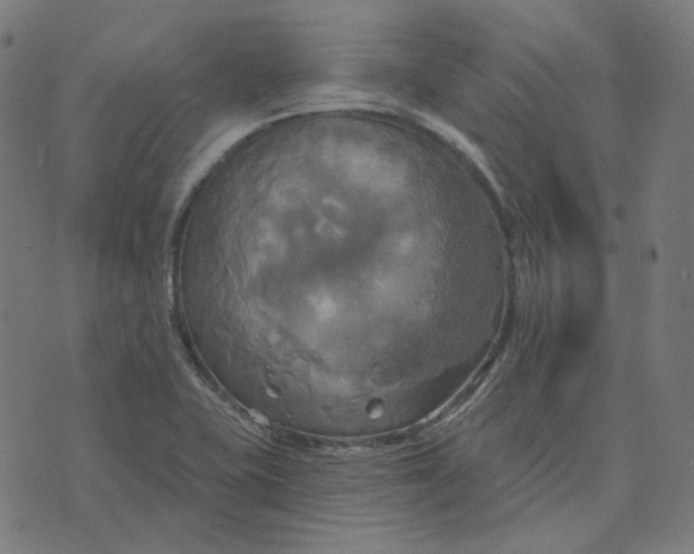 X0000070361415200606231611