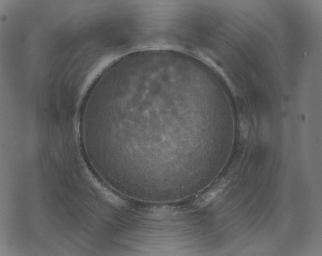 X0000070361416200606231611