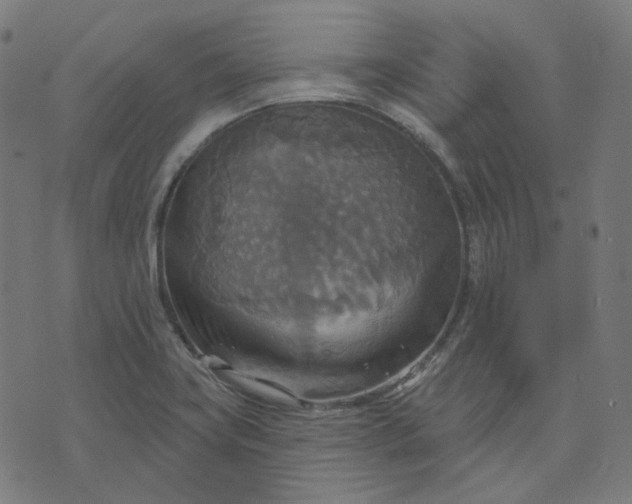 X0000070361419200606231611