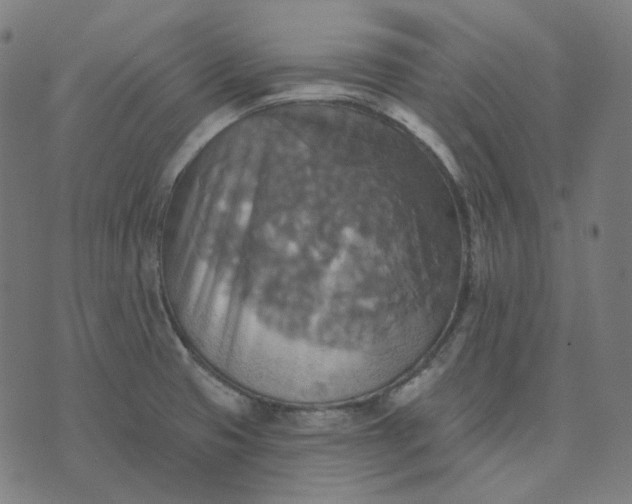 X0000070361425200606231611