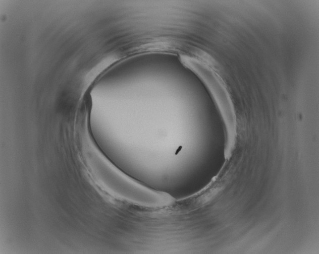 X0000070361426200606231611