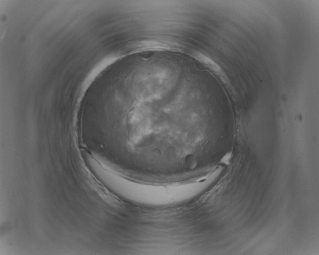 X0000070361427200606231611