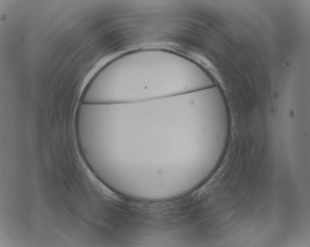 X0000070361428200606231611