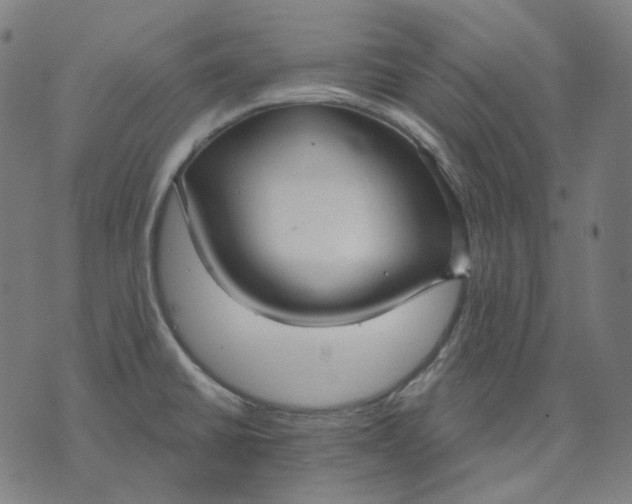 X0000070361430200606231611