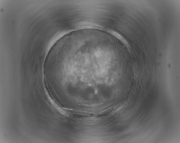 X0000070361431200606231611