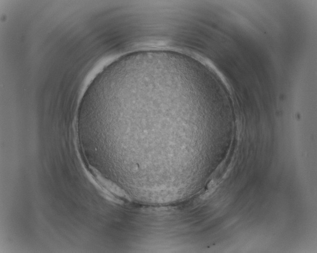 X0000070361432200606231611