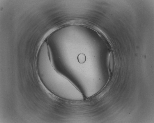 X0000070361434200606231611