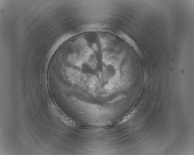 X0000070361435200606231611