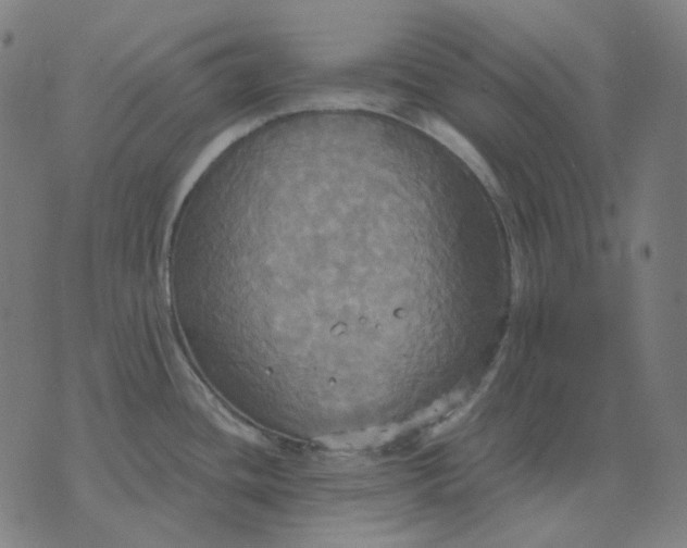 X0000070361436200606231611