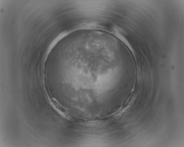 X0000070361437200606231611