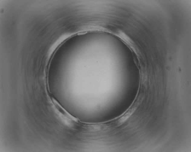 X0000070361438200606231611