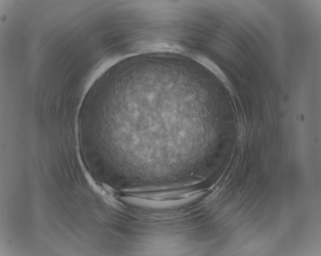 X0000070361439200606231611